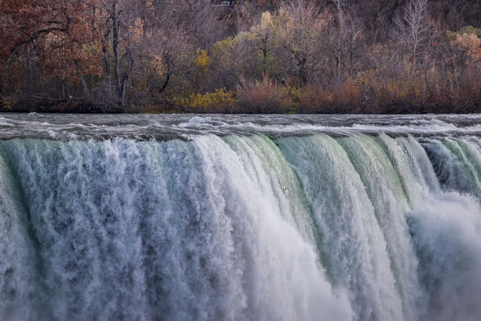 YS Falls &amp; Black River Safari
