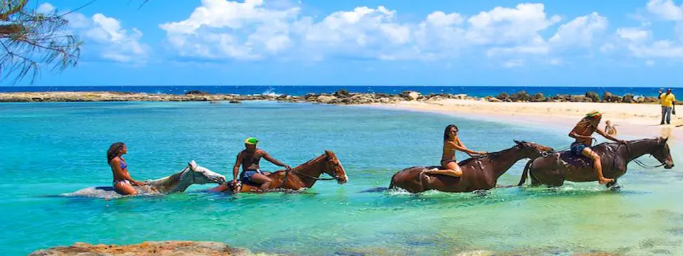 Horseback Riding & Ziplining Tour